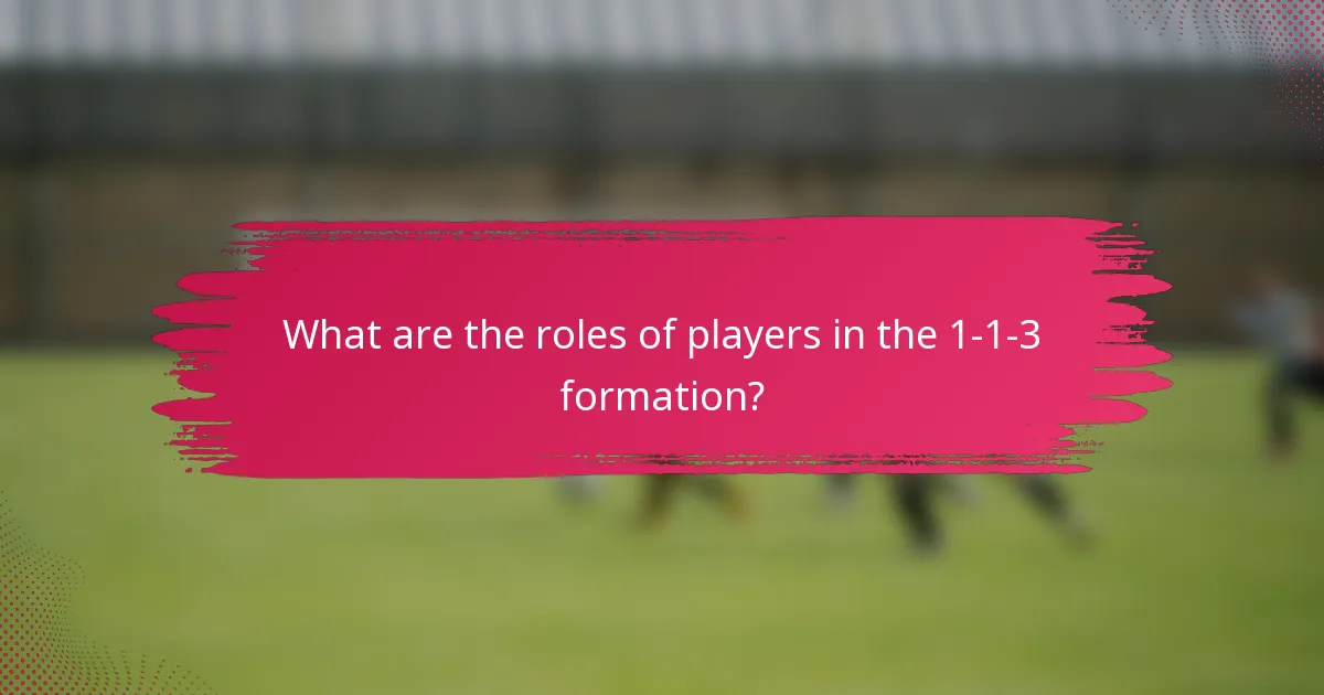 What are the roles of players in the 1-1-3 formation?